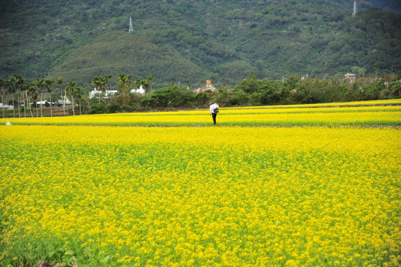 Guanshan Fukuda Homestay Exteriér fotografie
